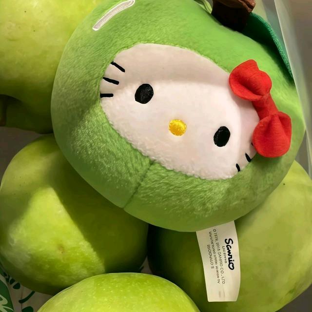 冉燃