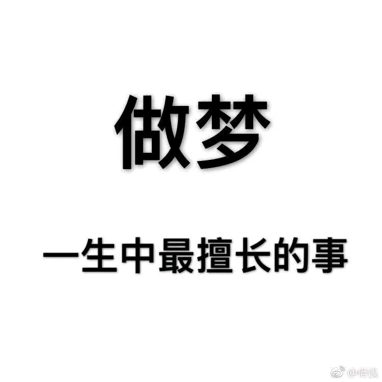 在云和枫树下
