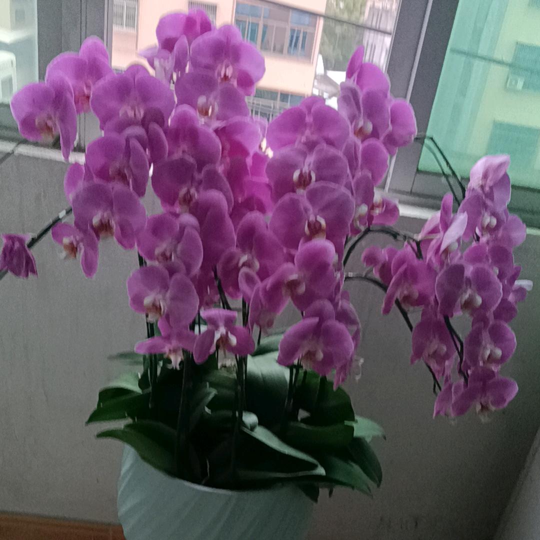 🌾᭄万事皆OKՉᐝ