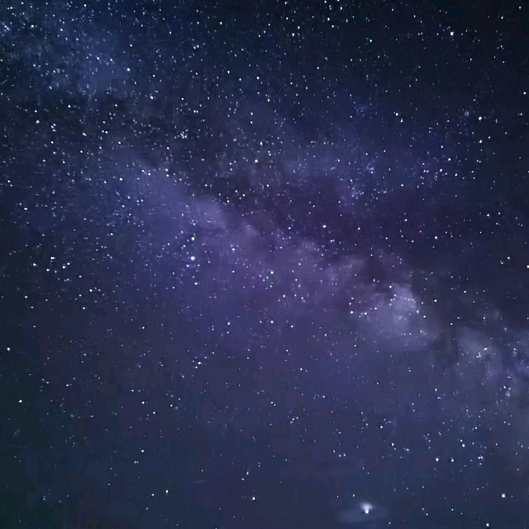 诗意的小小怪