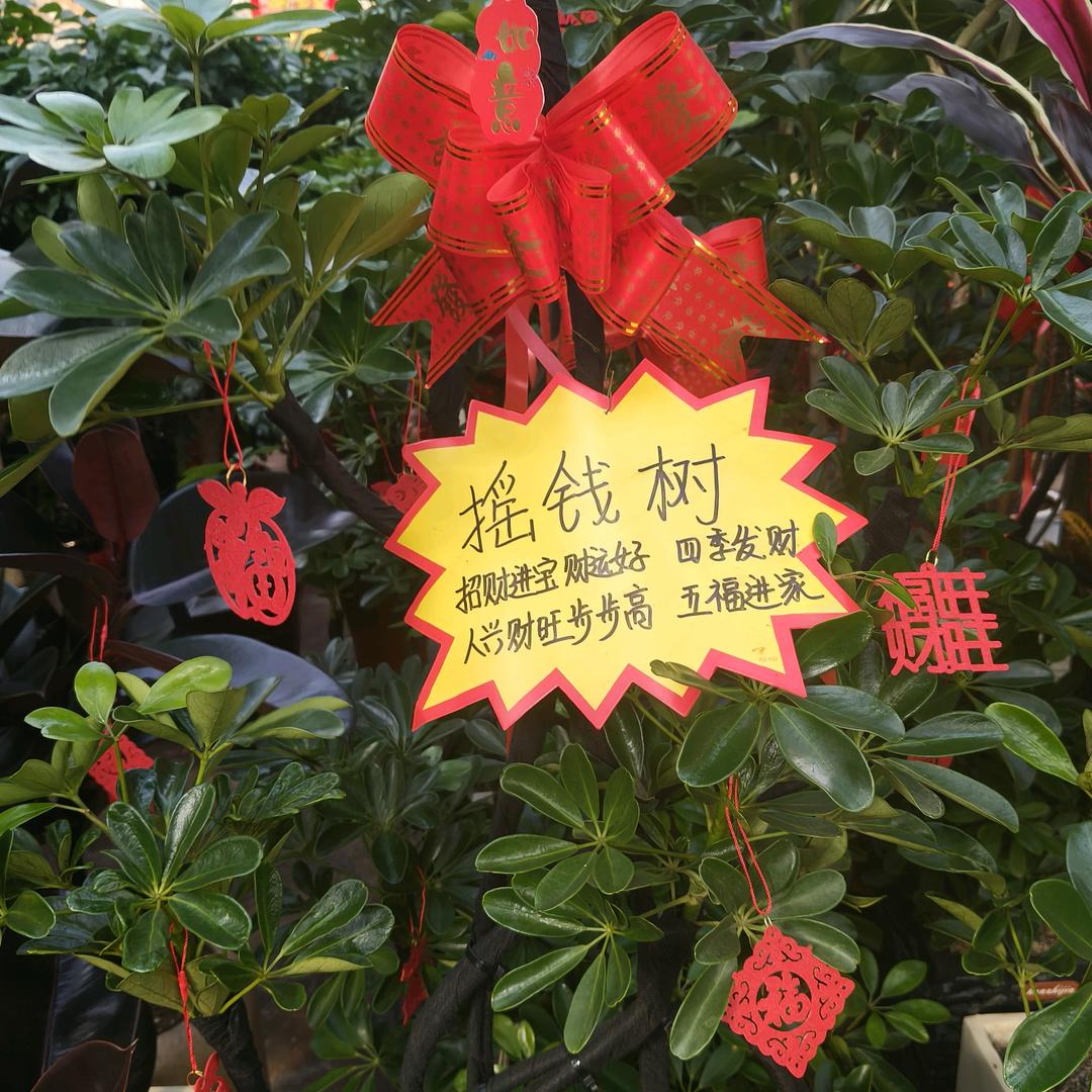 曾经拥有