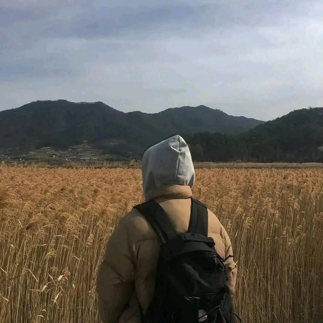 段泓泽
