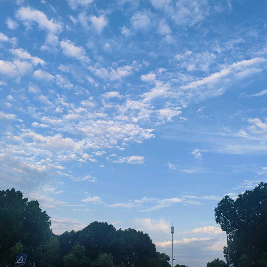 🌈静静超甜🙈