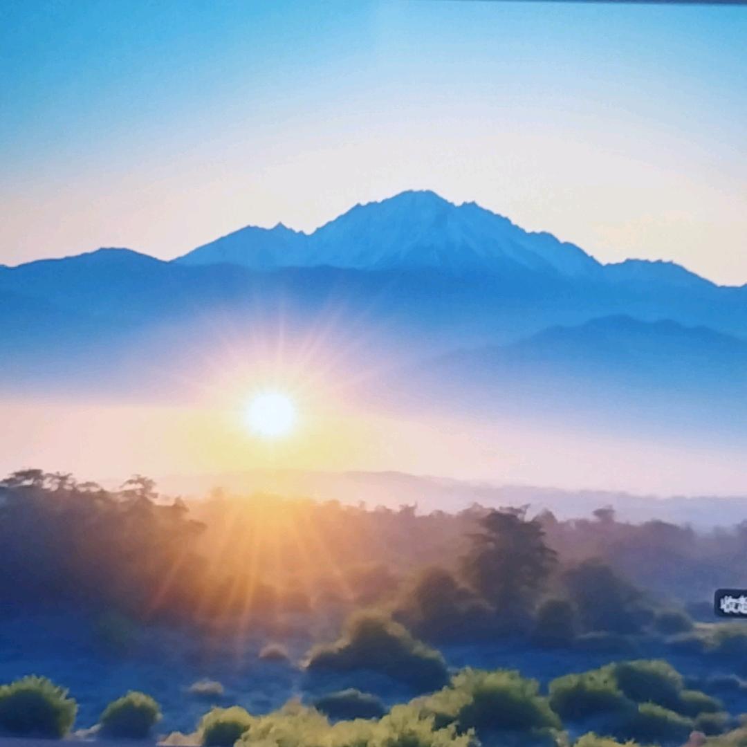 松鹤延年