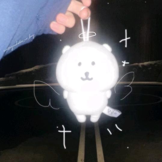 山狸