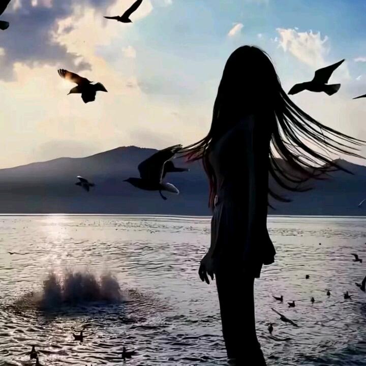 七字怎能诉遗憾