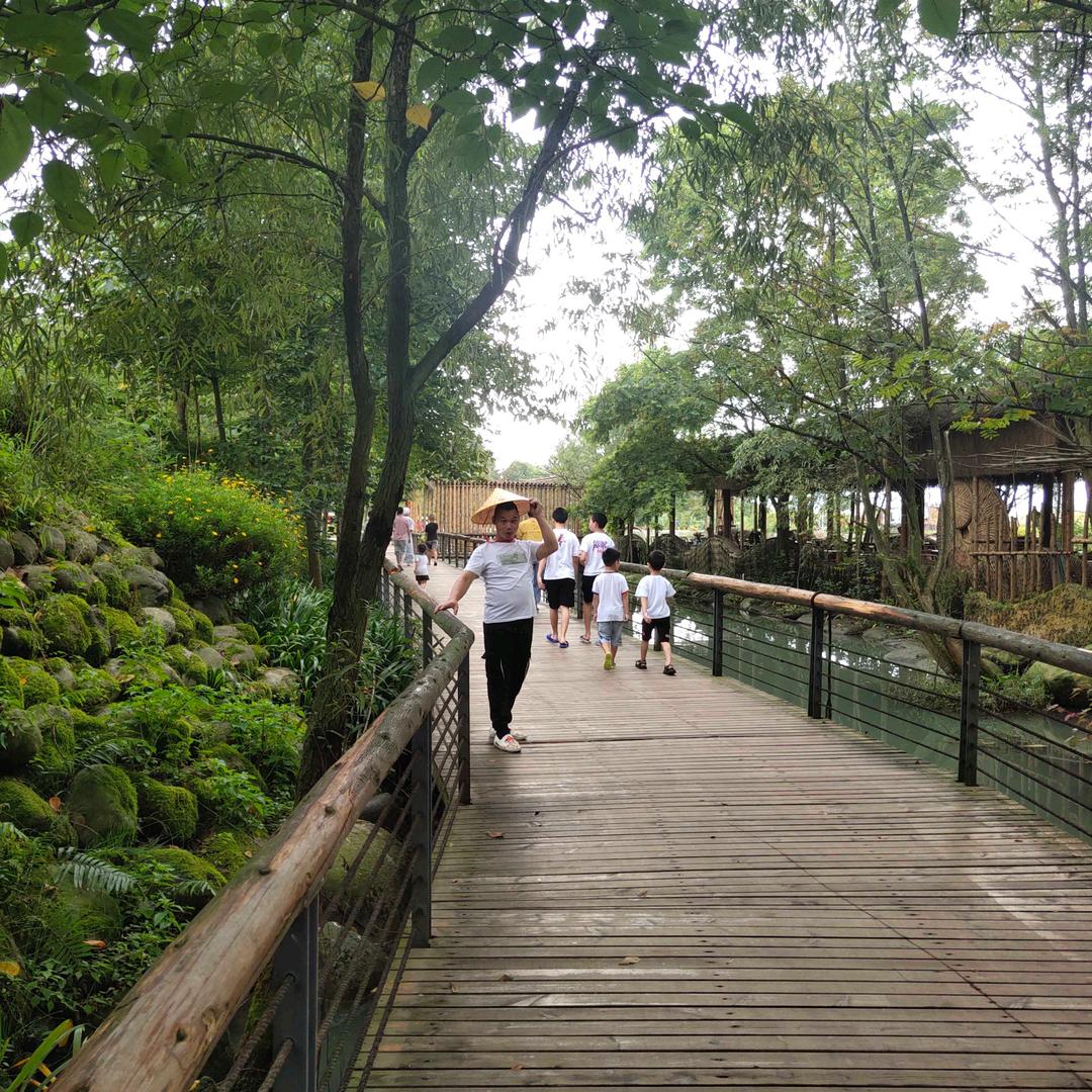 彭总变形记小号