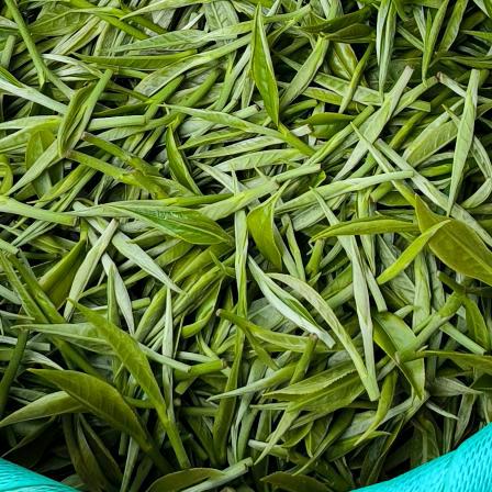 茶幺妹