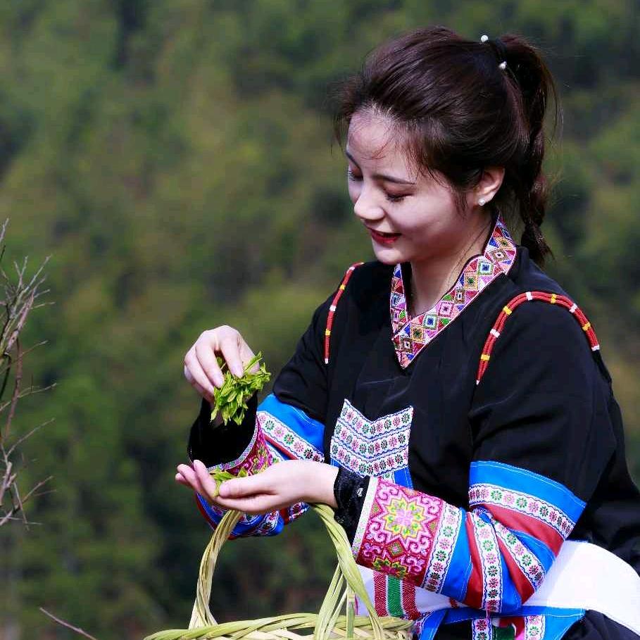 柠檬茶妹