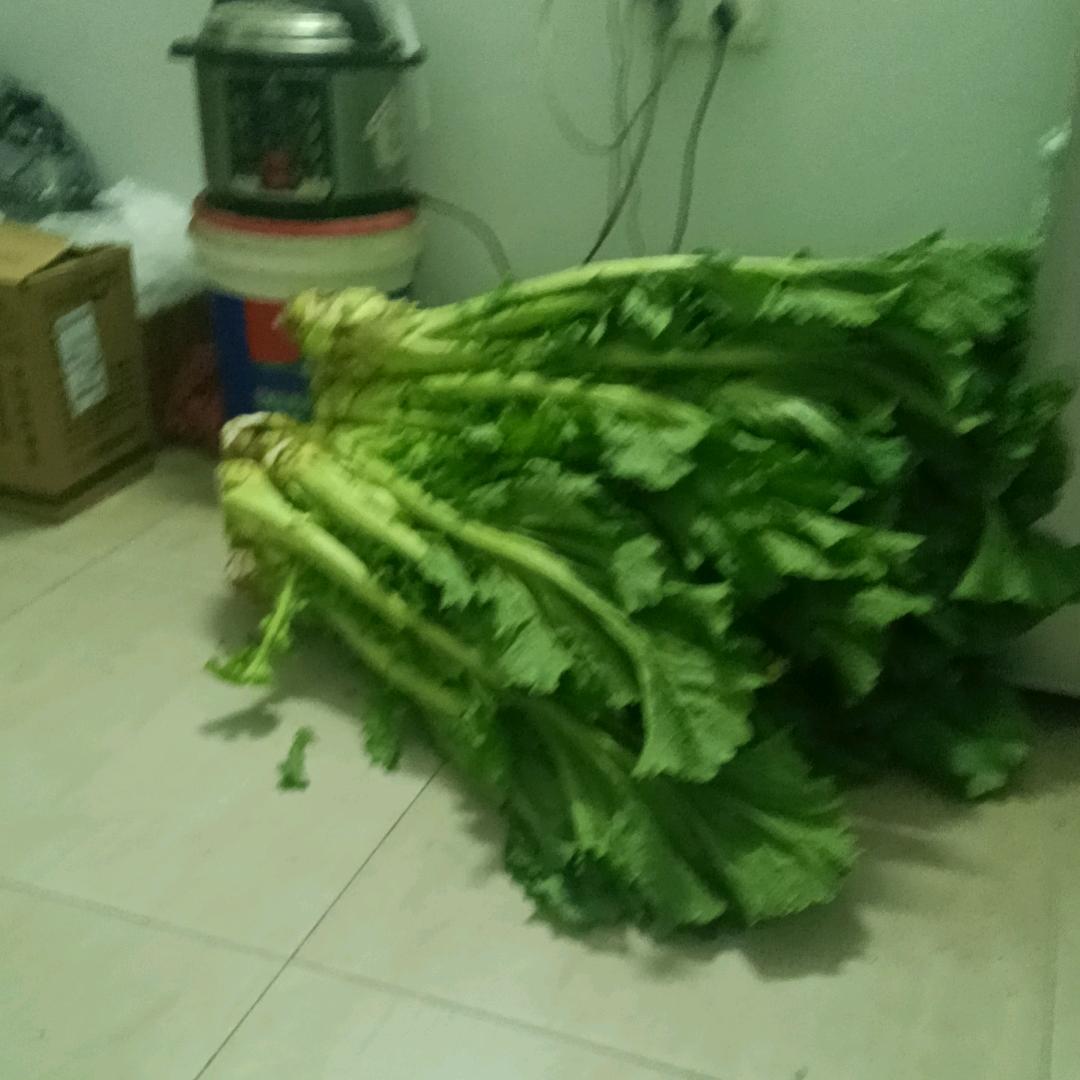 健康常在