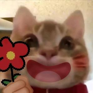 笑blue齿🐾