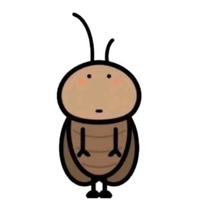 圆圈圈呀