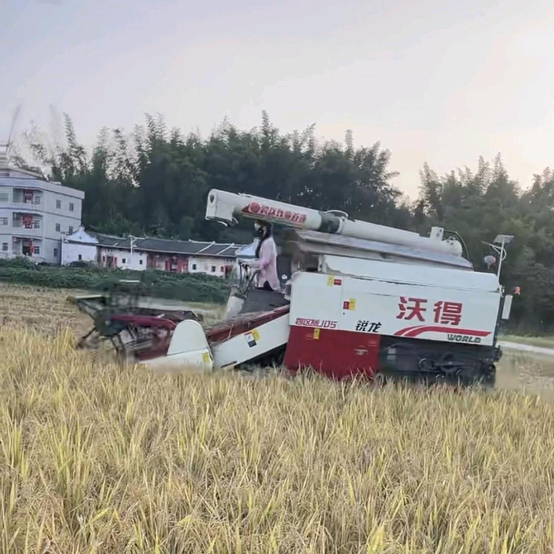 五华农机手💋小丘妹