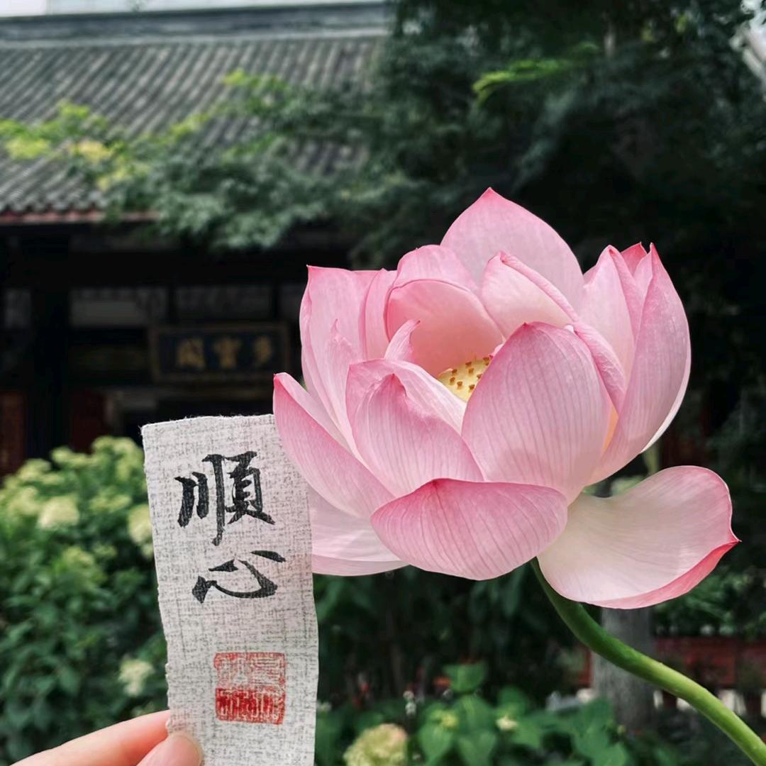觅知好物