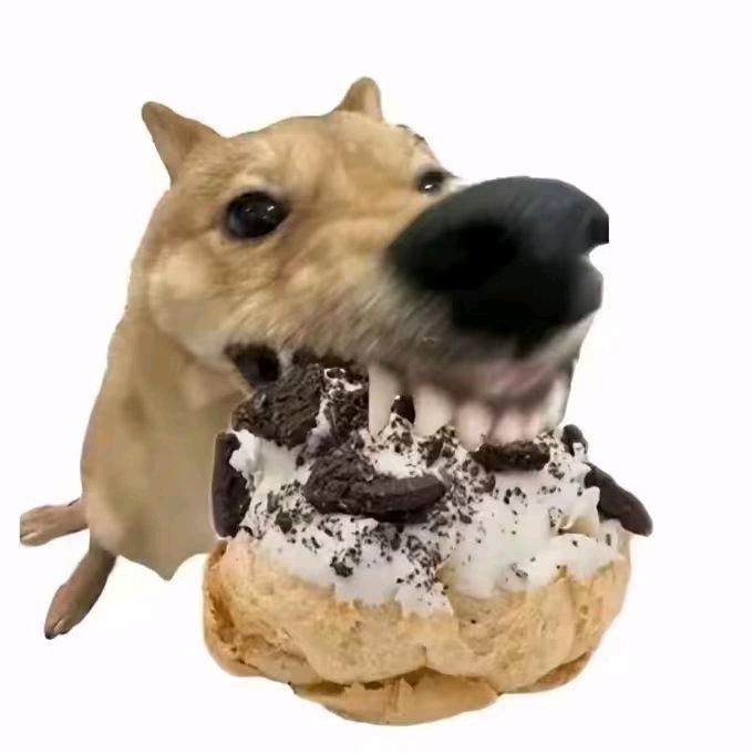 圆脸小学生大王