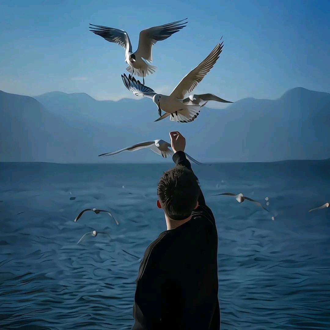 深藏浅遇