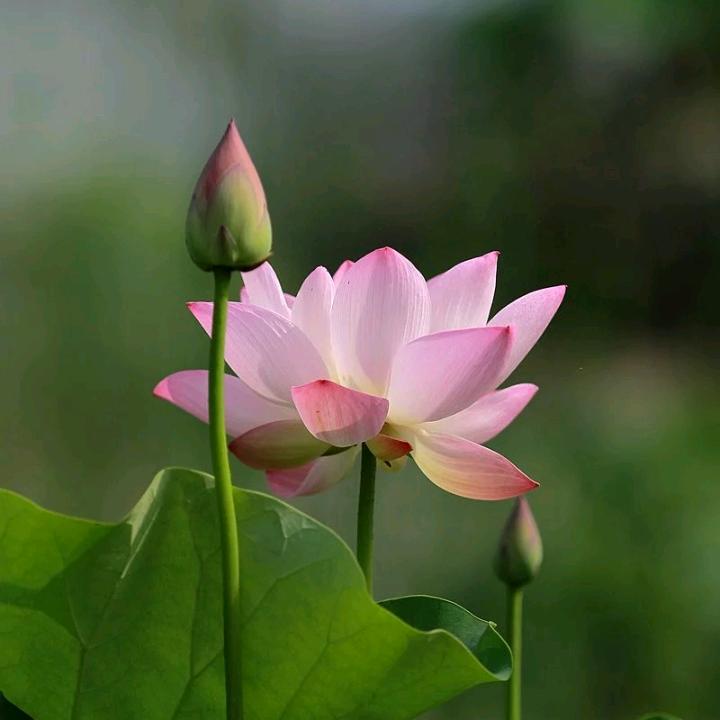 东昇猜谜