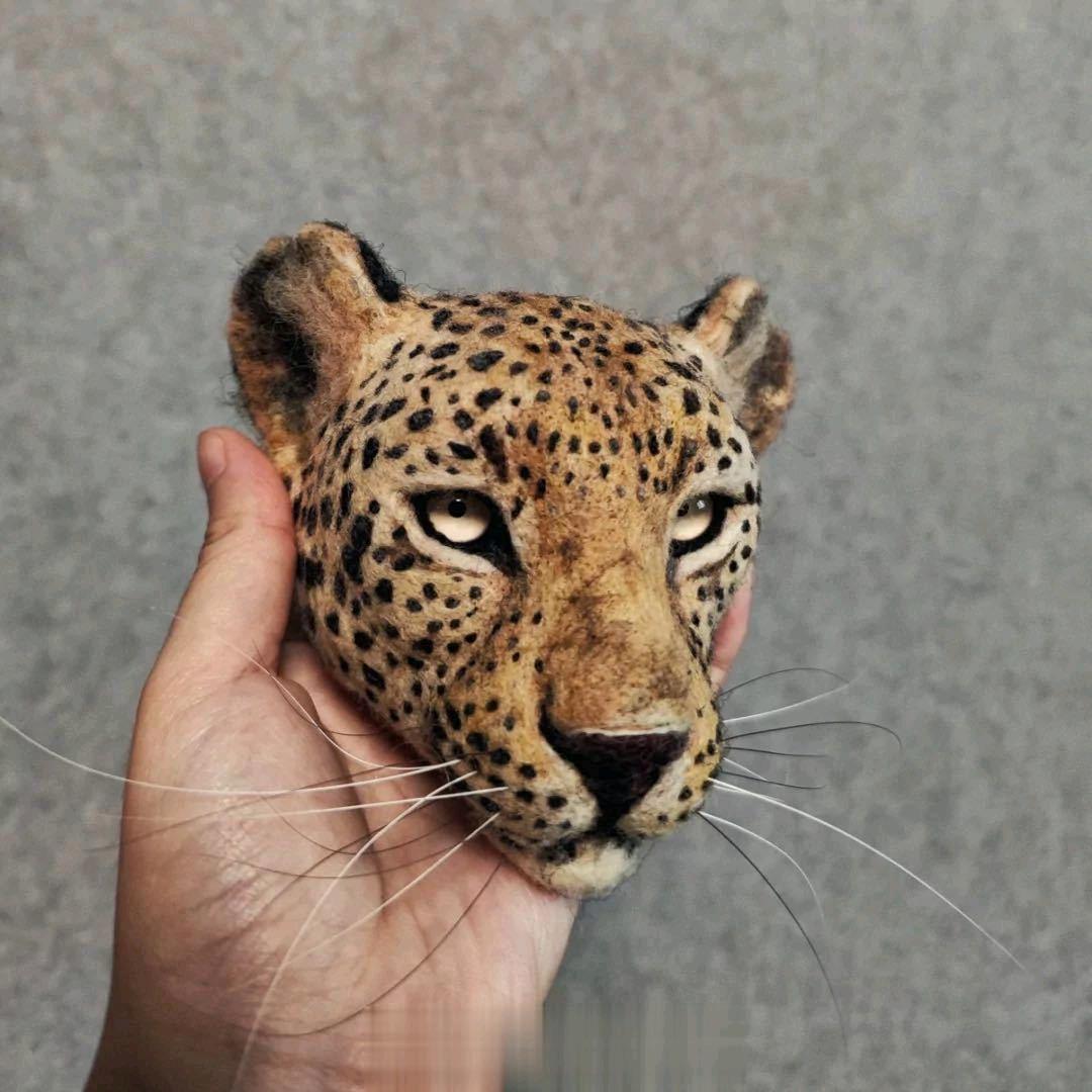 ⊙小王同学⊙