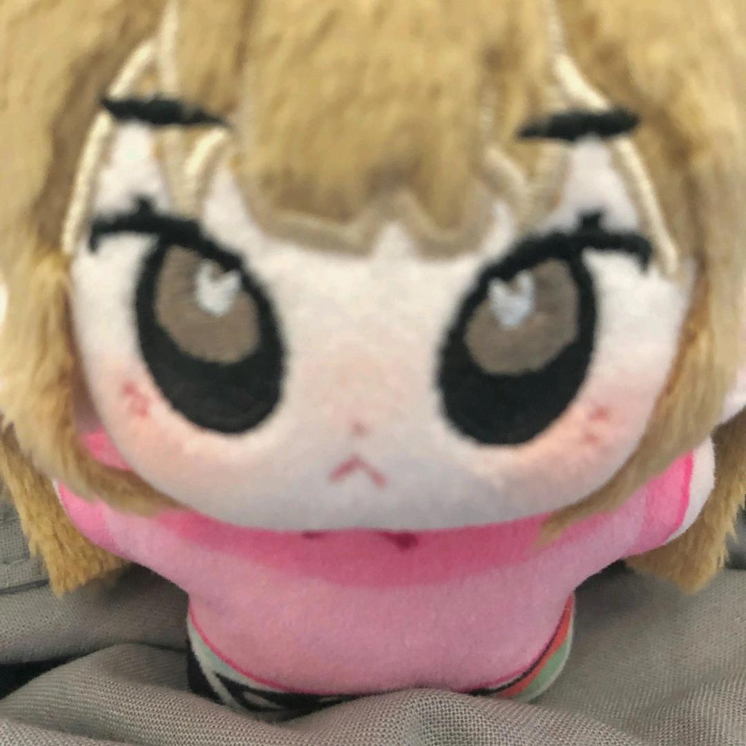 淡枝木木