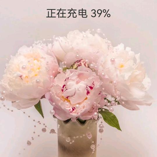 冬天的雪