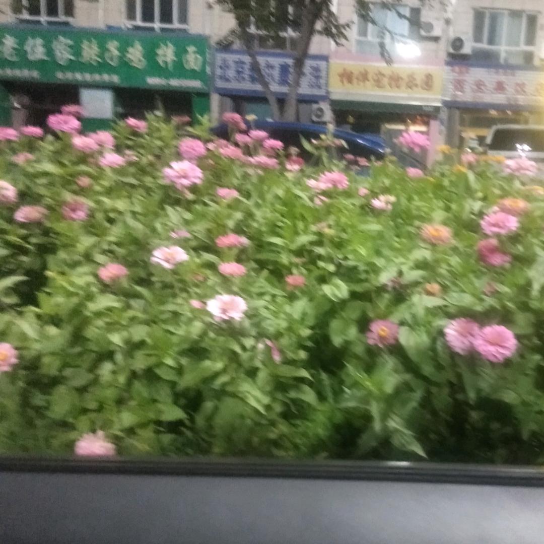 小小的太阳