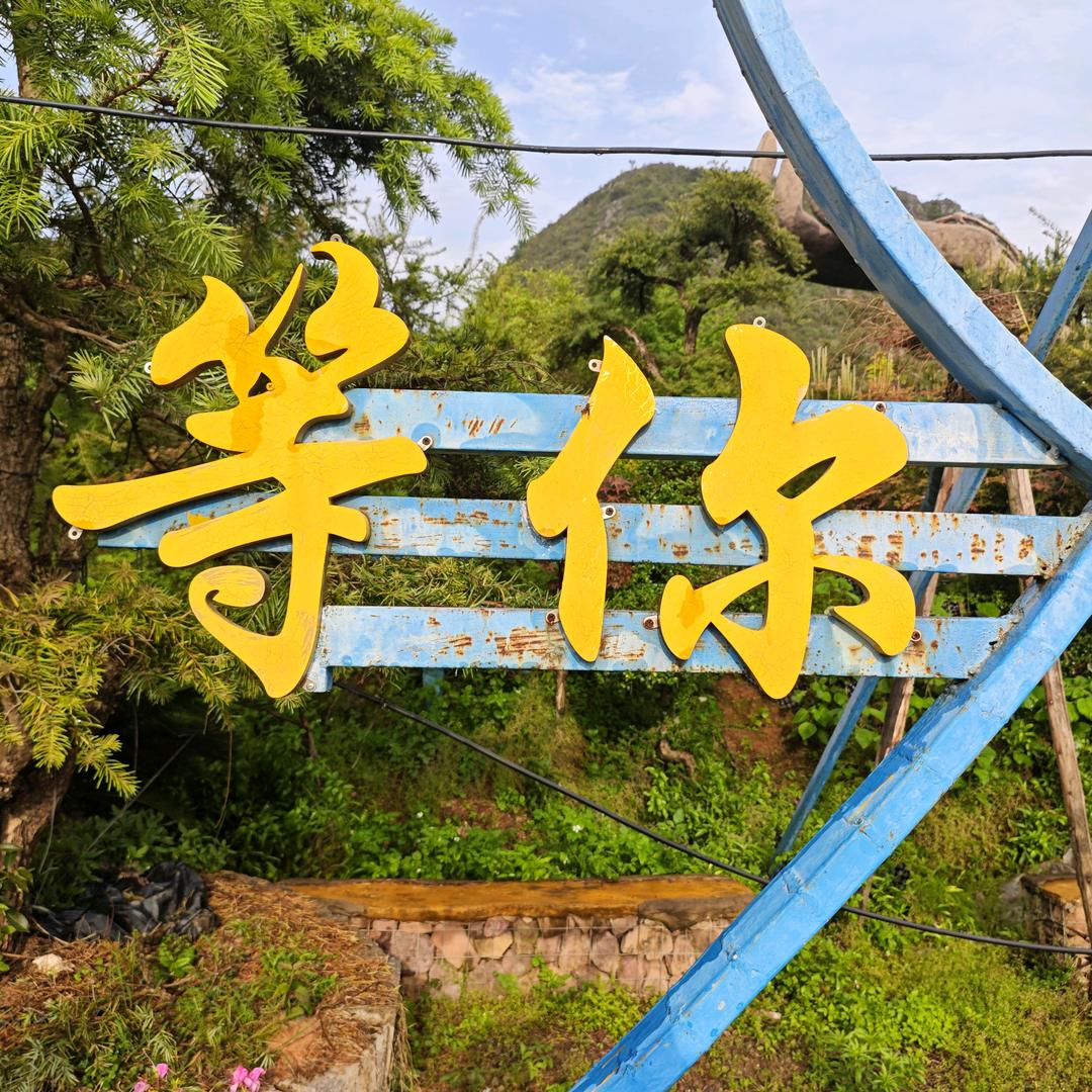 小伟哥