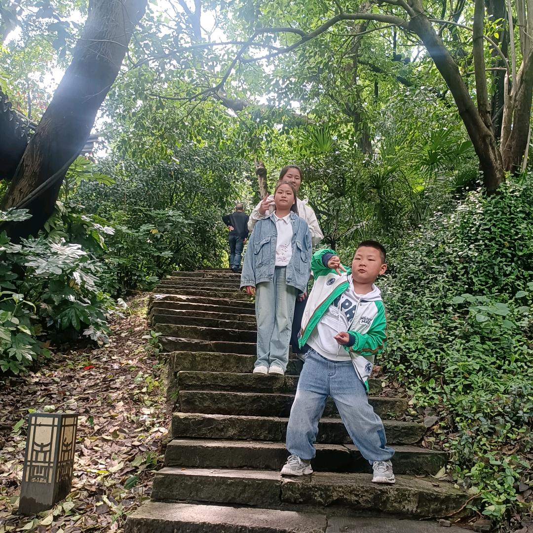 三宝妈