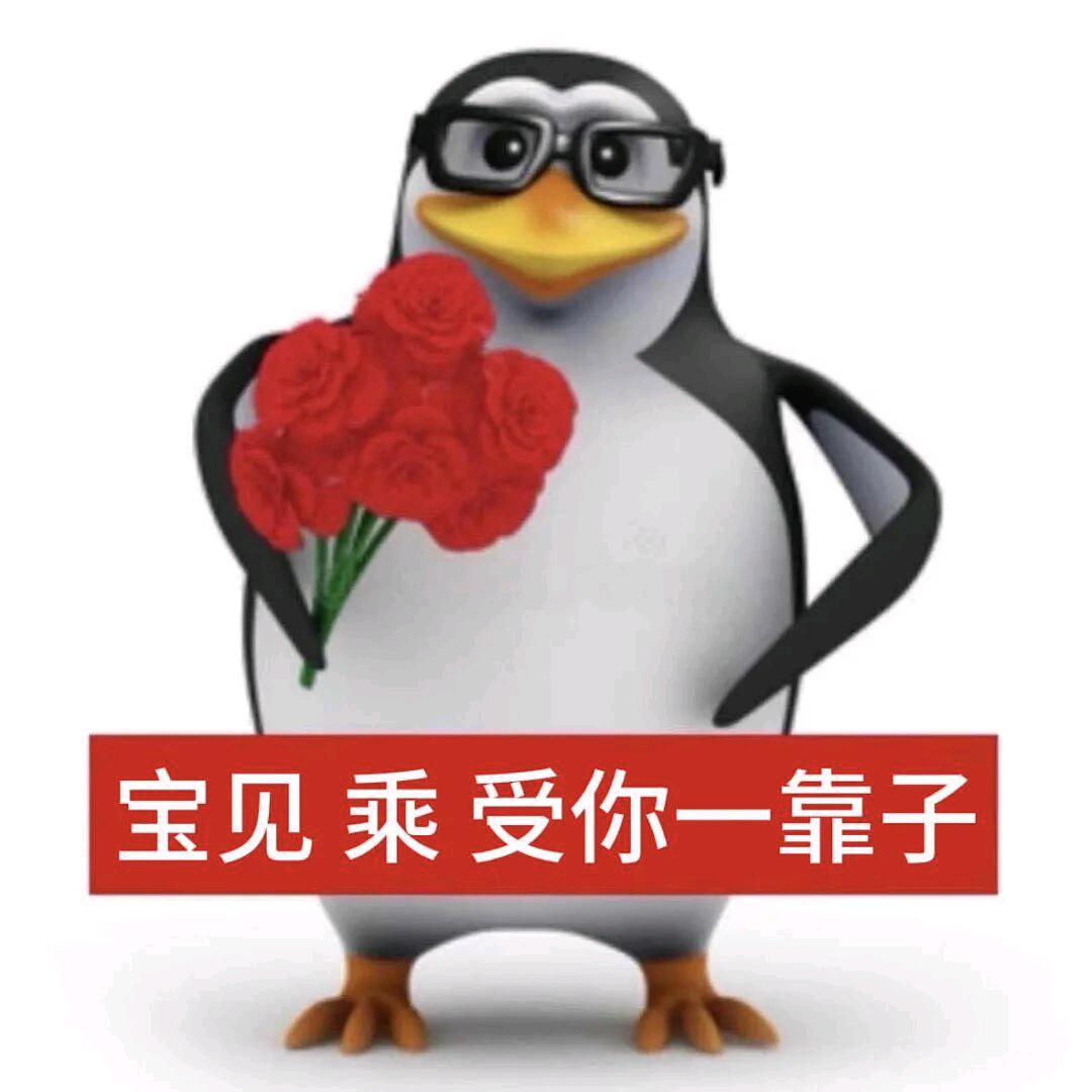 长颈鹿幼崽(不乘版)