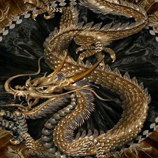 翔龙顺天