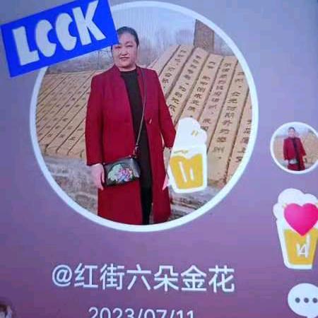 红街六朵金花