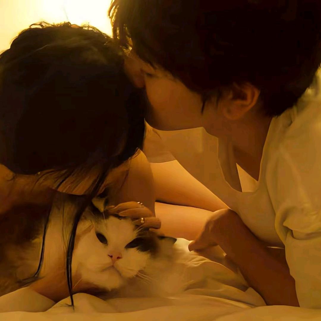 稻香.