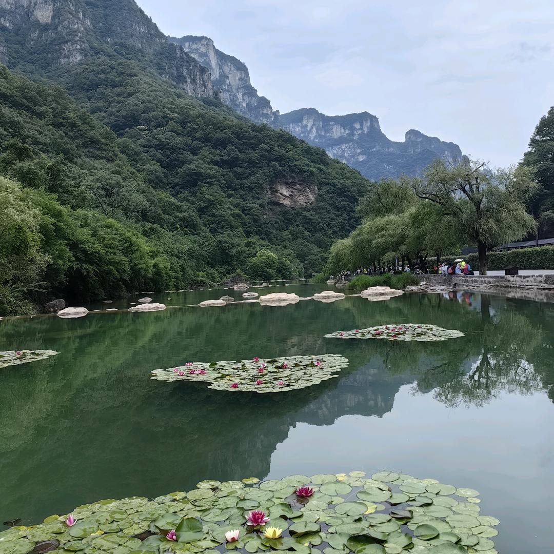 小英在青岛
