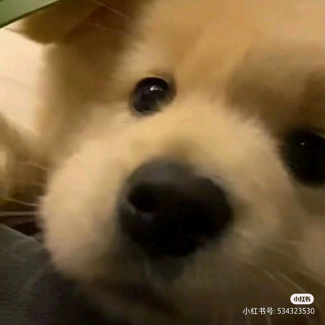 嚛