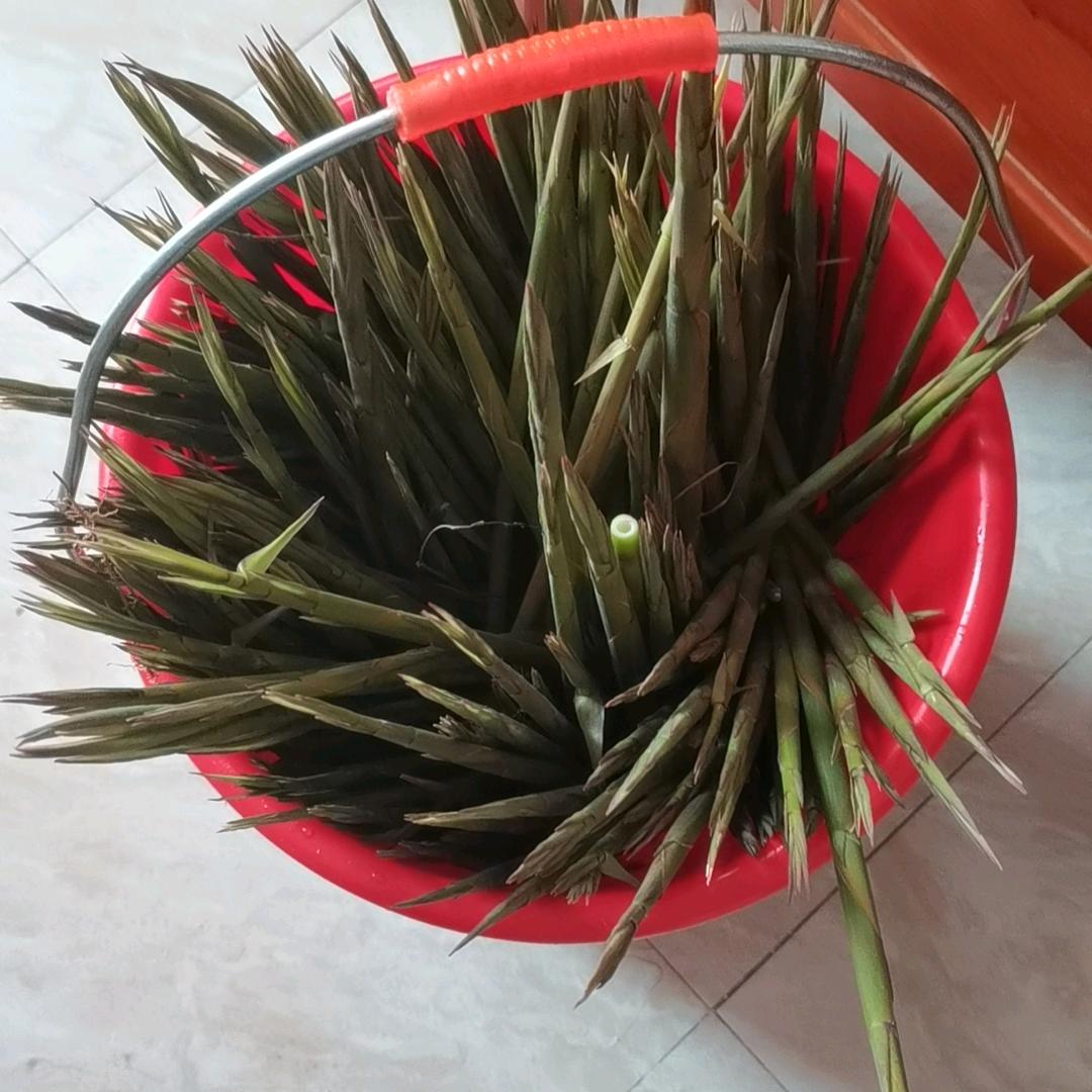 刚升起