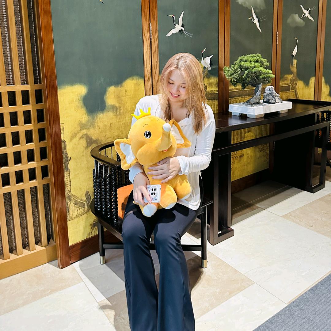 忙碌小象的一天🐘