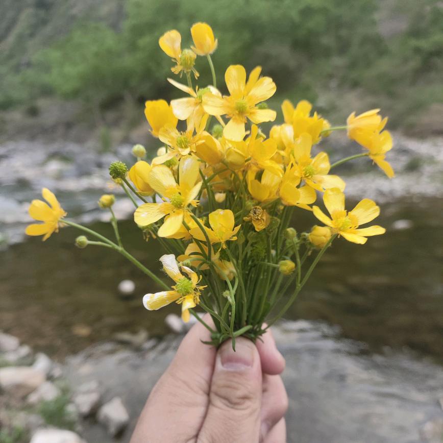 陕南地道土特产（个体工商户）