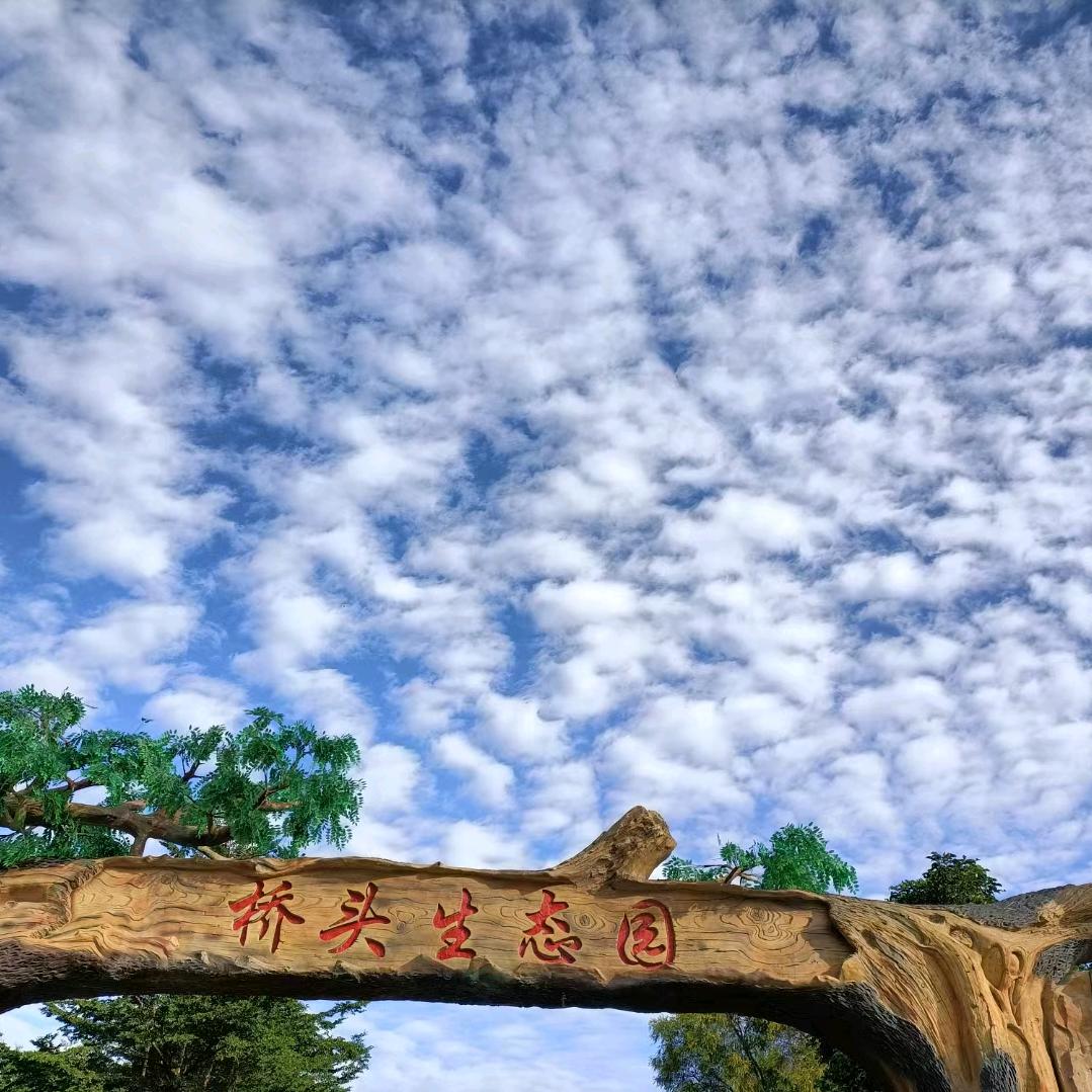 东莞桥头生态园@LaoQin