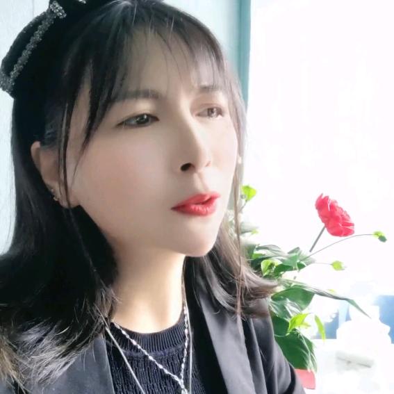 懒杨洋