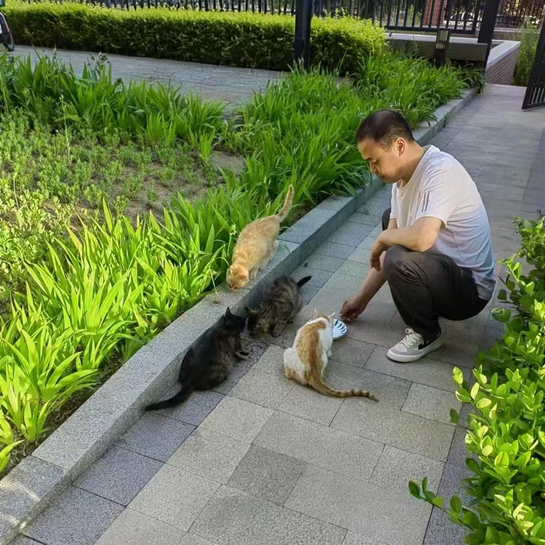 吉祥喵叔