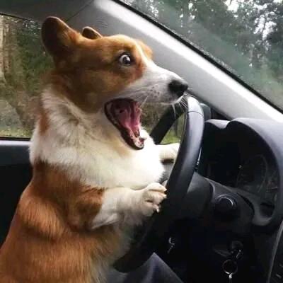 池州茂云汽车销售服务有限公司-小王