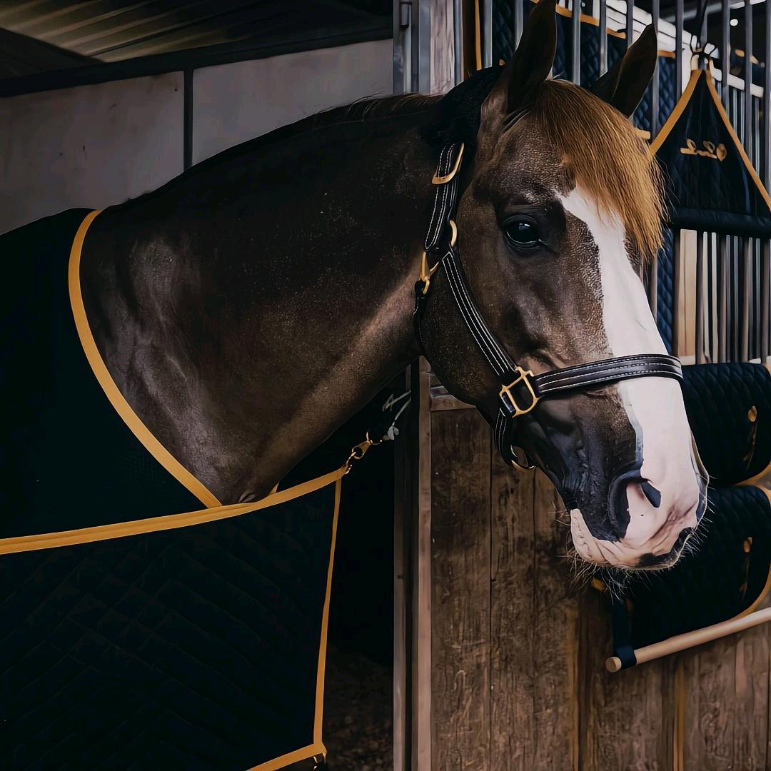 企帆｜资质咨询