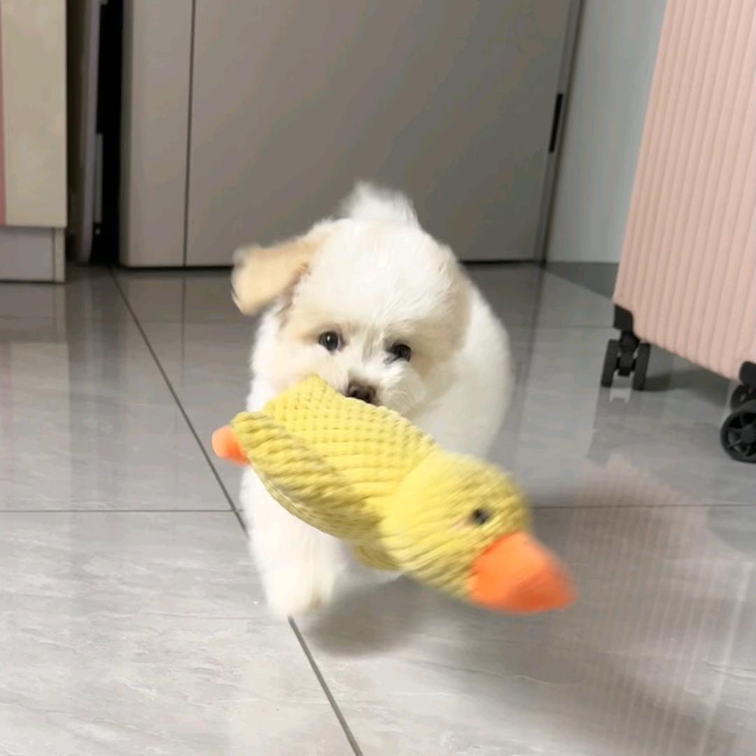 初漫