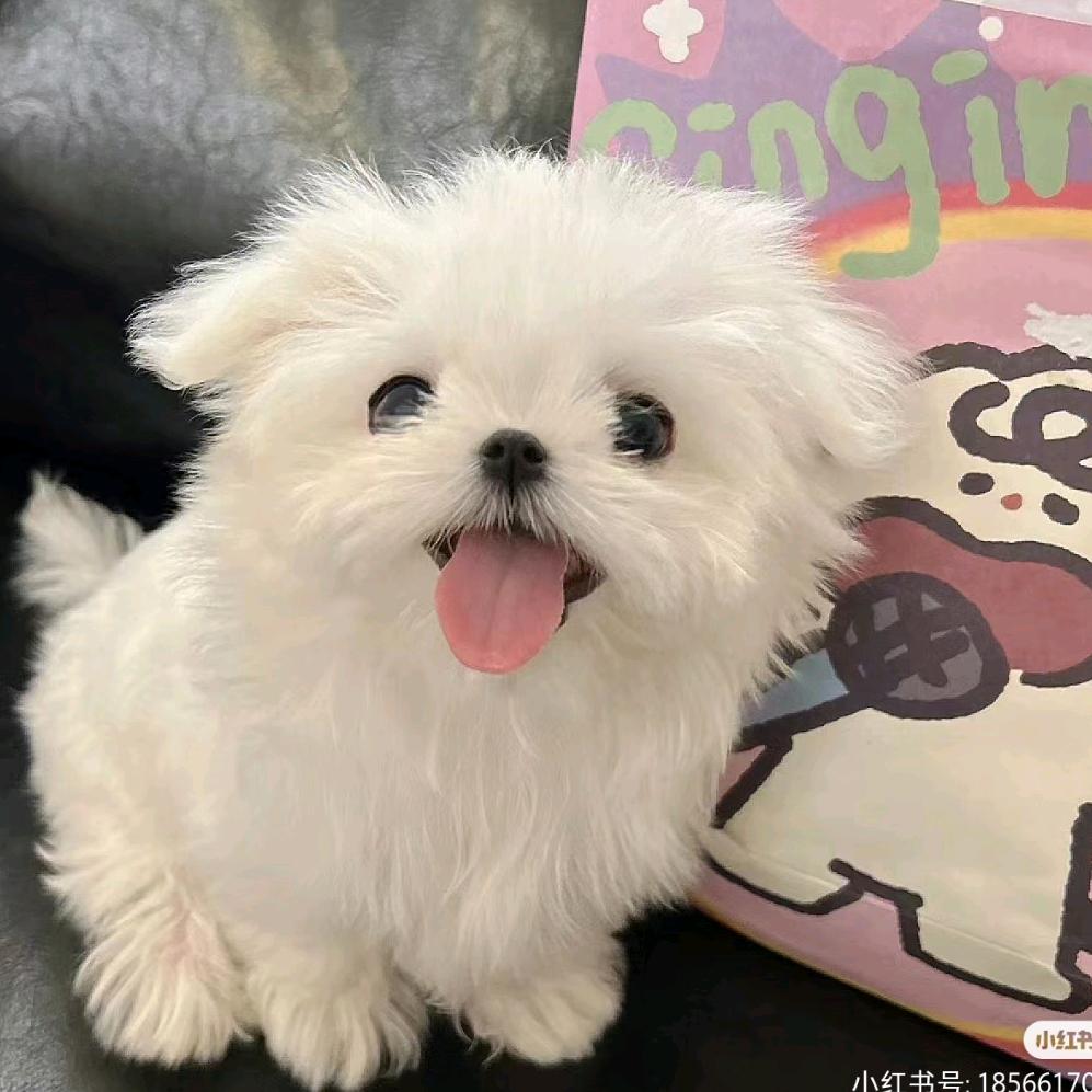 炸了炸了