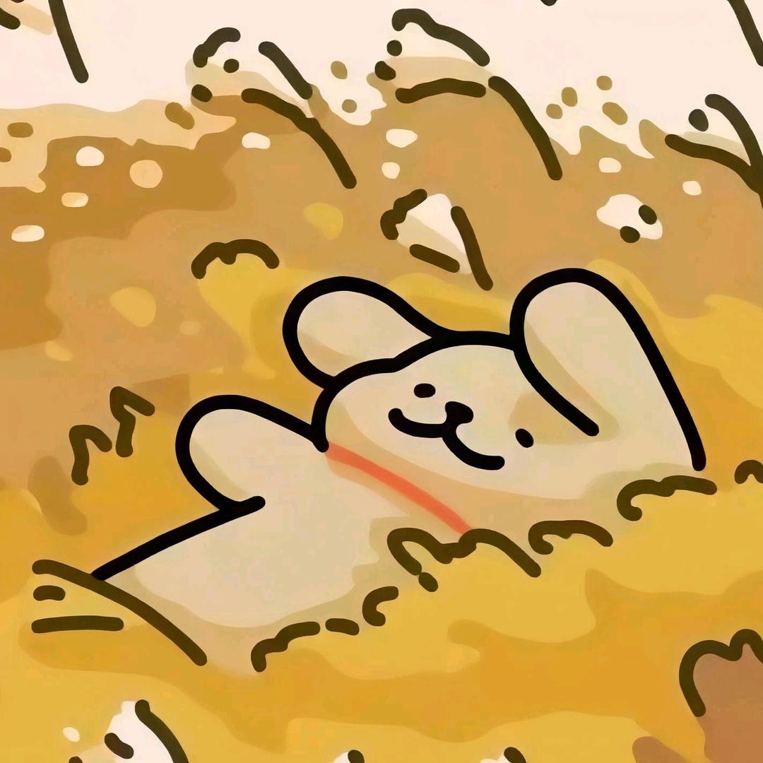 是橙子不是橘子头像