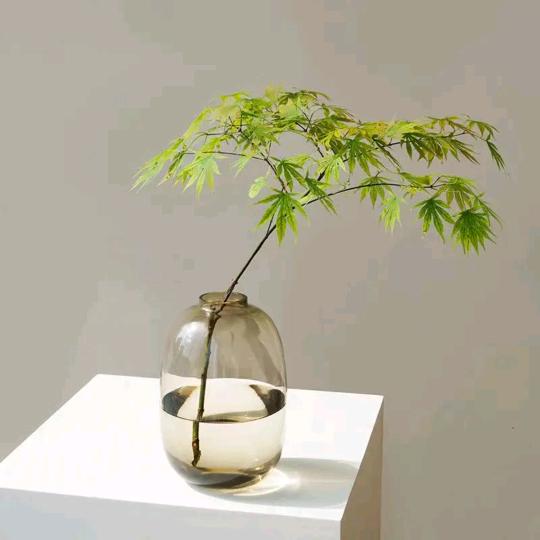 潇洒一生欢乐的生活