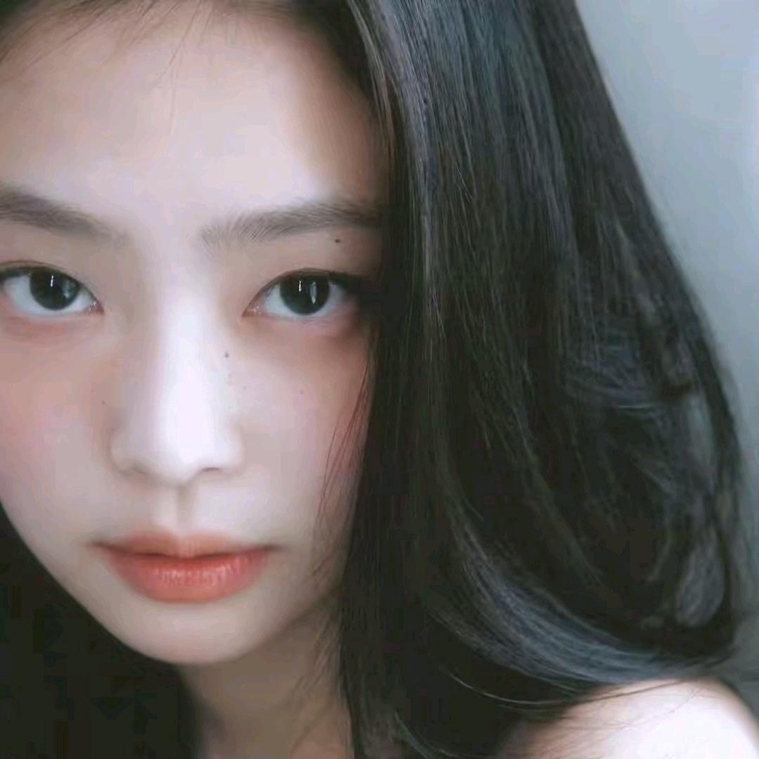 知鸥舟