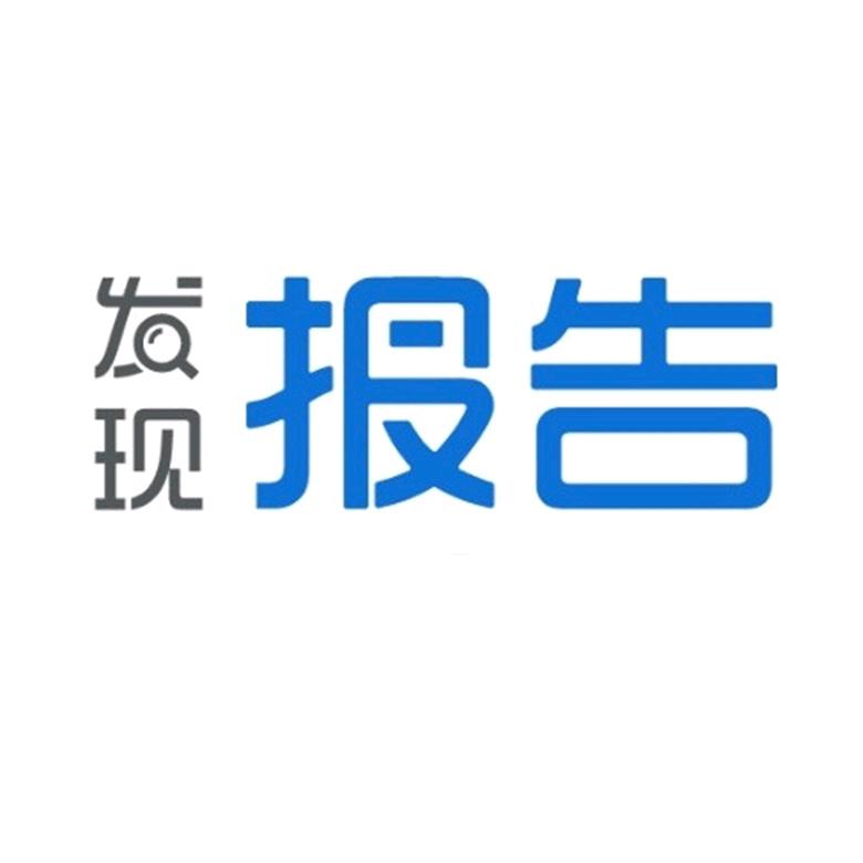 发现报告
