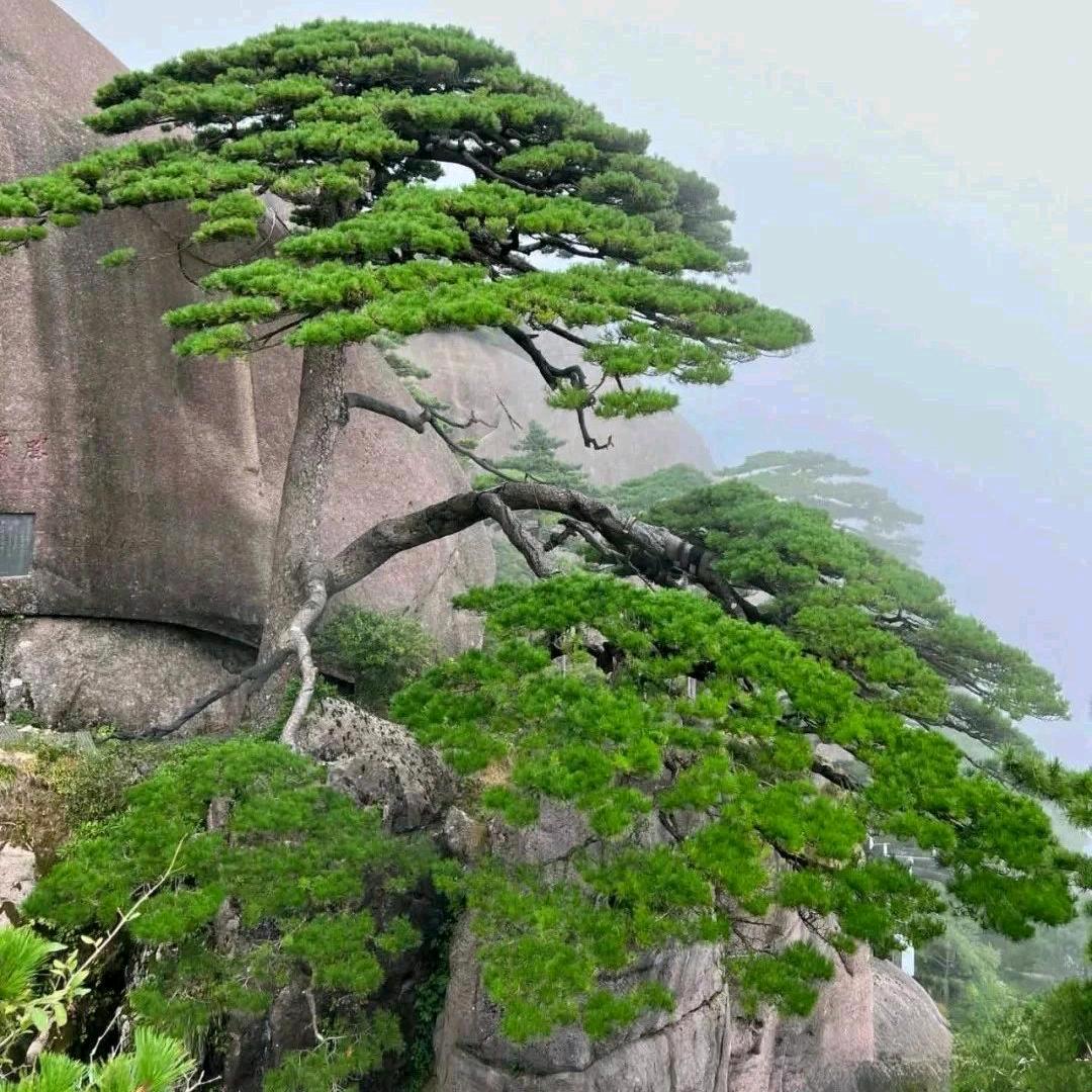 相逢不易💫💫