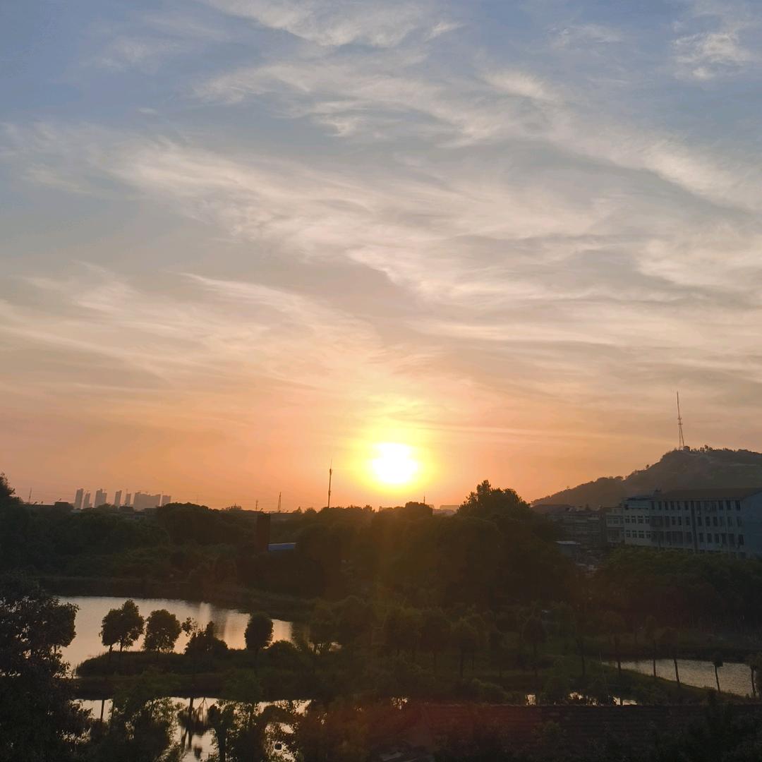绿鲤鱼与驴