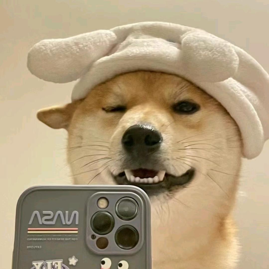 流得滑     🪳